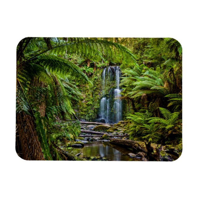 Ímã Florestas | Beauchamp Falls Austrália (Horizontal)