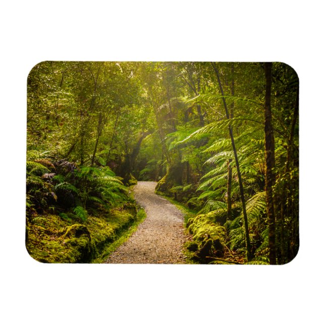 Ímã Florestas | Caminho Para A Floresta (Horizontal)