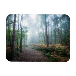 Ímã Florestas Dark Foggy Woods Norfolk UK