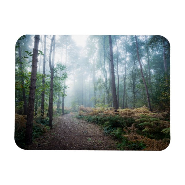 Ímã Florestas | Dark Foggy Woods Norfolk UK (Horizontal)