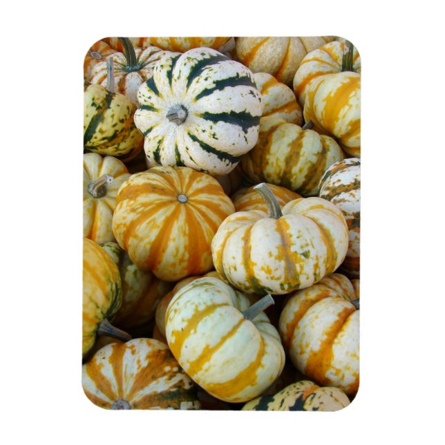 Ímã Florestas de Colheita Laranja e Verde (Vertical)