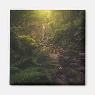 Imã Florestas Destaques da luz solar Cascata