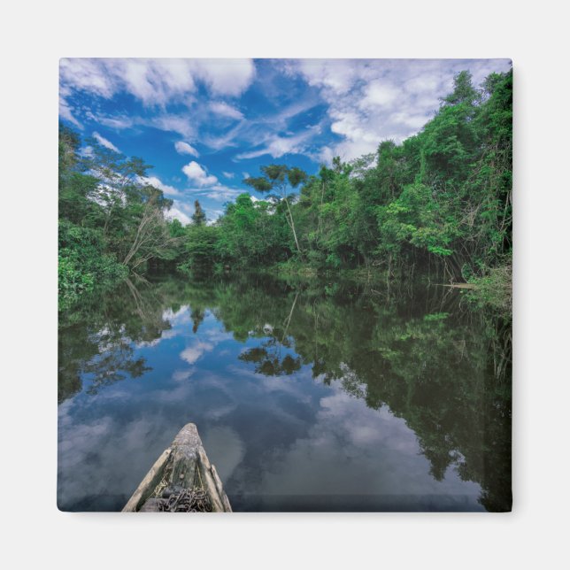 Imã Florestas | Floresta Selvagem Peruana (Frente)