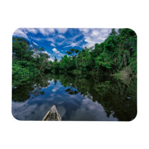 Ímã Florestas   Floresta Selvagem Peruana