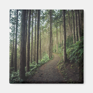 Imã Florestas   Montanhas de Wakayama no Japão