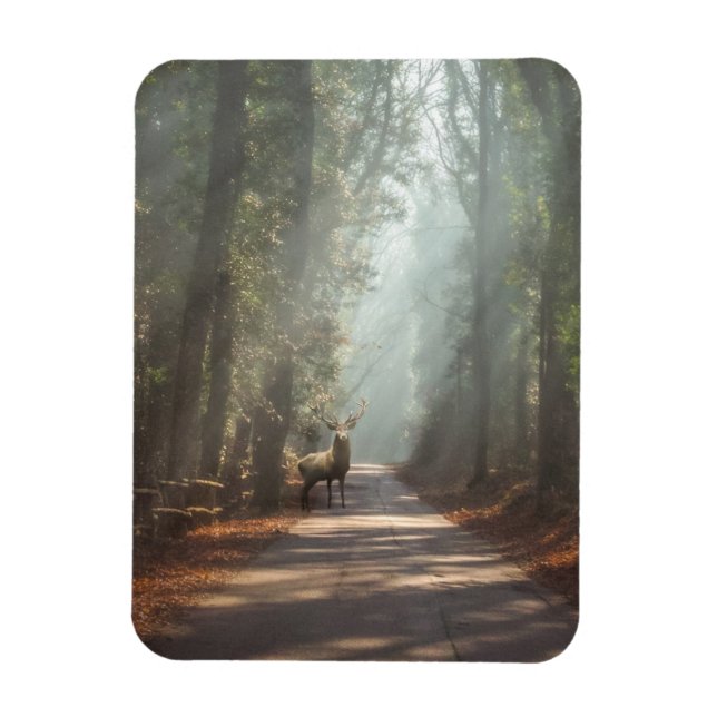 Ímã Florestas | Stag Woodland (Vertical)