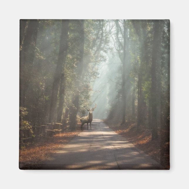 Imã Florestas | Stag Woodland (Frente)