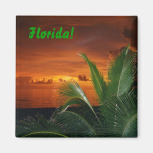 Imã Florida!