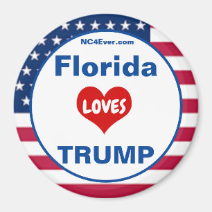 Imã Flórida AMA FIGURA Patriótica