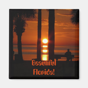Imã Florida bonito!