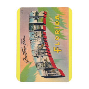 Ímã Florida, Clearwater Magnet