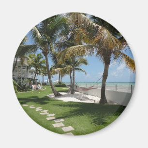 Imã Florida fecha a praia americana - ReasonerStore