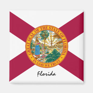 Imã Florida Flag & Florida State USA / esportes