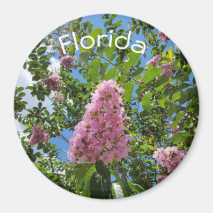 Imã Flórida floresce