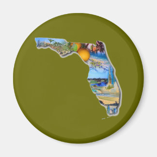 IMÃ FLORIDA - O ESTADO DO SUNSHINE