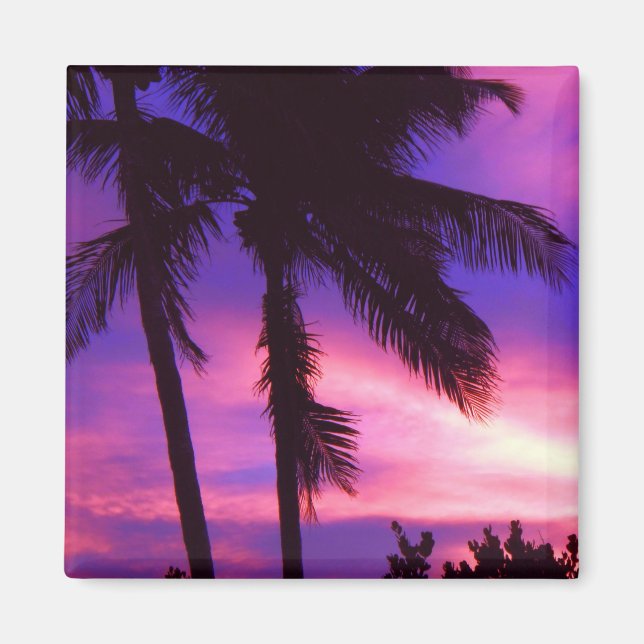 Imã Flórida Palm Sunset Magnet (Frente)