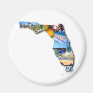 IMÃ FLORIDA PICTURE DESIGN