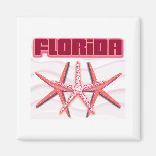 Imã Florida Starfish