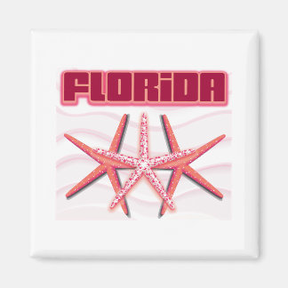 Imã Florida Starfish