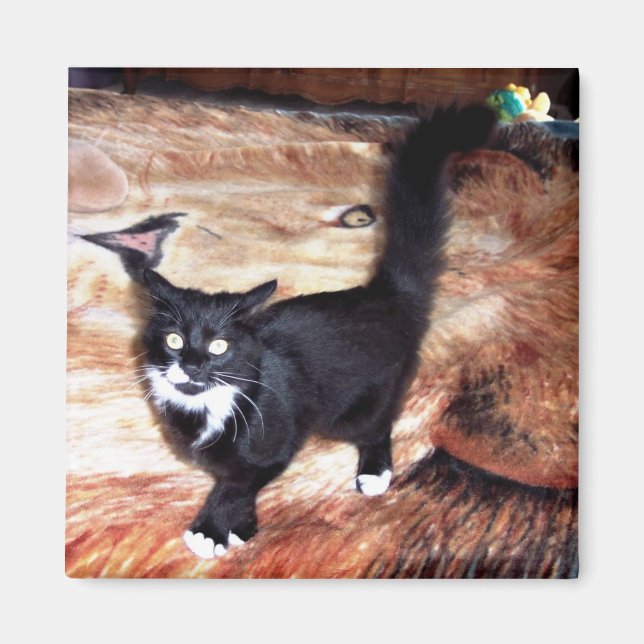 IMÃ FLOSSIA (Frente)