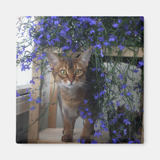 Imã Flower Cat