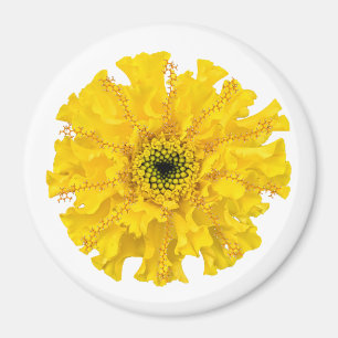 Imã Flower Chemistry Magnet Marigold