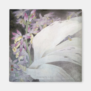 Imã Flower Seires II - Phaius