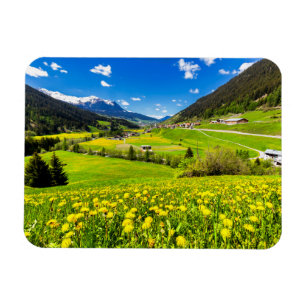 Ímã Flowers Dandelion Canton of Grisons, Switzerland