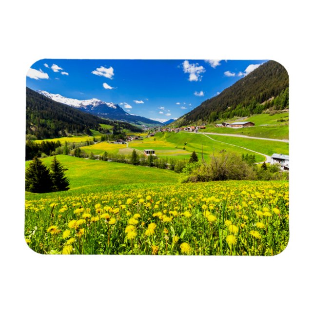 Ímã Flowers | Dandelion Canton of Grisons, Switzerland (Horizontal)