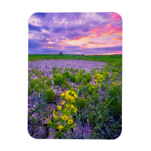 Ímã Flowers North Dakota Red River Valley