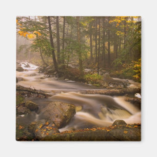 Imã Flowing Streams Appalachian Trail Vermont