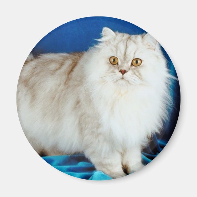 Imã Fluffy Cat (Frente)