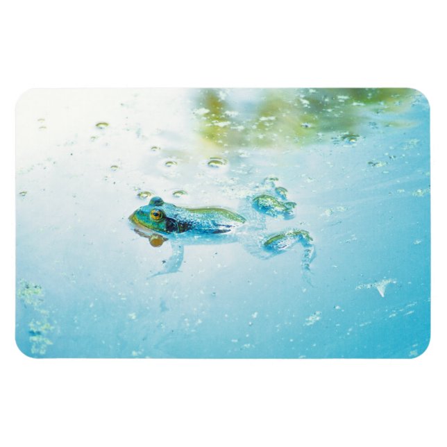 Ímã Flutuante (Horizontal)