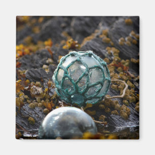 Imã Fluxo de pesca na piscina da maré, Alasca