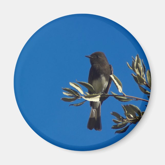 Imã Fly Catcher (Frente)