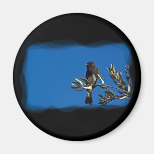 Imã Fly Catcher