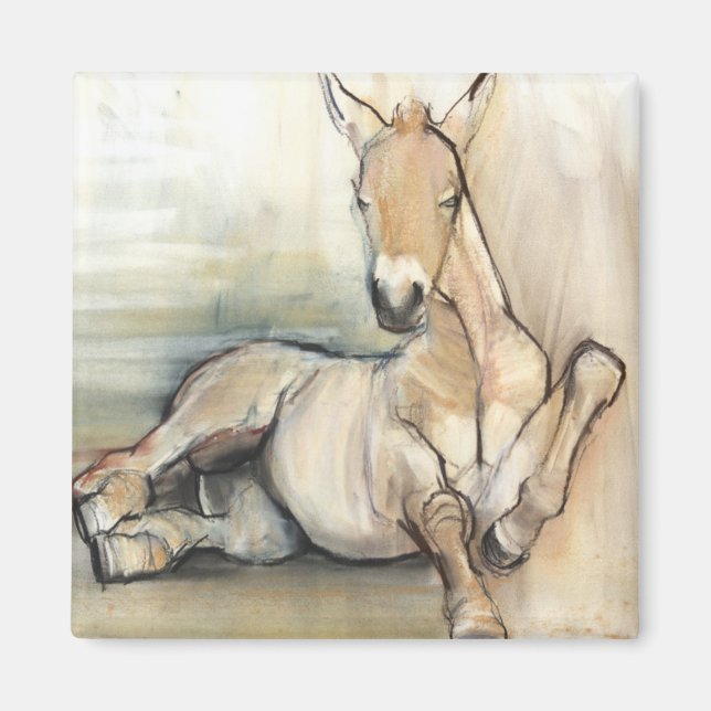 Imã Foal 2012 (Frente)