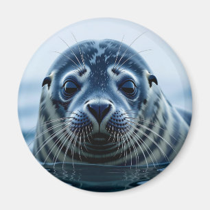 Imã Foca Fofa de Perto