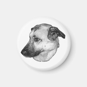 Imã Foco Natural, Ímã de Cachorro