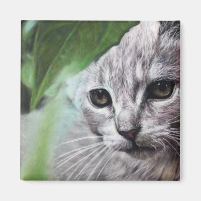 Imã Focused white cat (Frente)