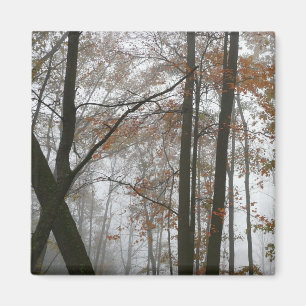 Imã Foggy Fall na Pensilvânia Autumn Nature