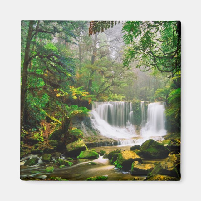 Imã Fogueiras de ferradura cercadas pela floresta trop (Frente)