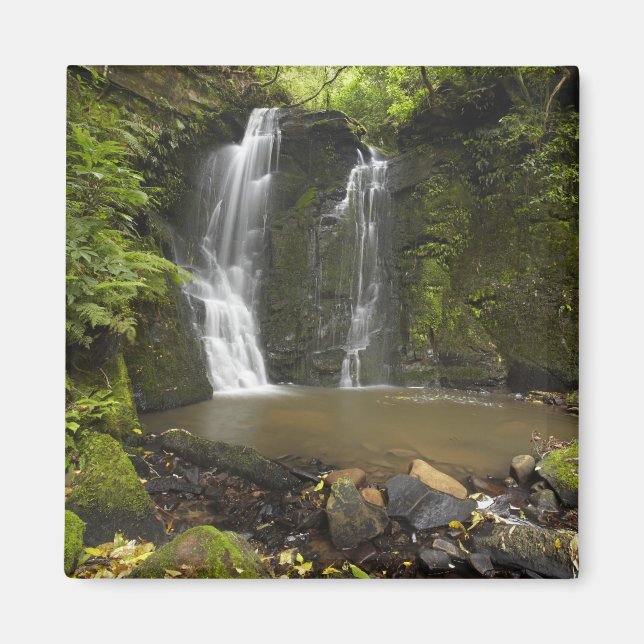 Imã Foguetes, Matai Falls (Frente)