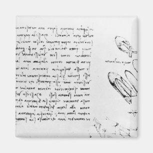 Imã Fol. 49v do códice Arundel 263, 1490s-1518