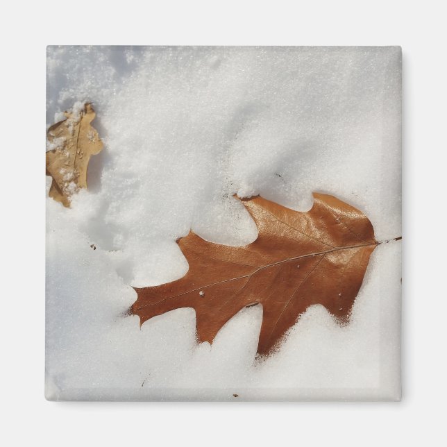 Imã folha de carvalho na neve (Frente)