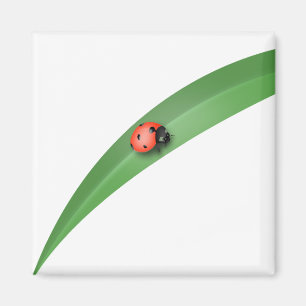 Imã Folha de Ladybug