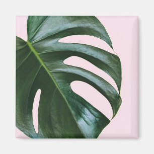Imã Folha tropical de Monstera