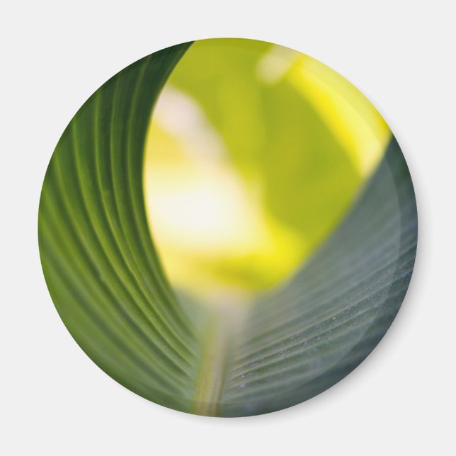 Imã Folha verde (Frente)