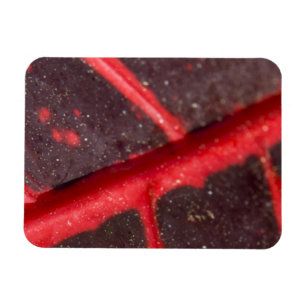 Ímã Folha Vermelha Variegada Havaiana