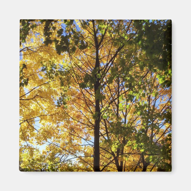 Imã Folhagem Amarelo e Verde (Frente)